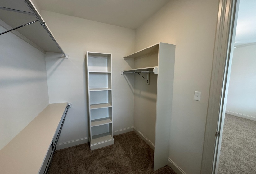 Walk in closet featuring dark colored carpet
