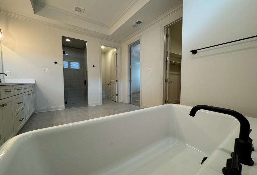 Bathroom with a shower stall, vanity, a raised ceiling, a freestanding bath, and ornamental molding