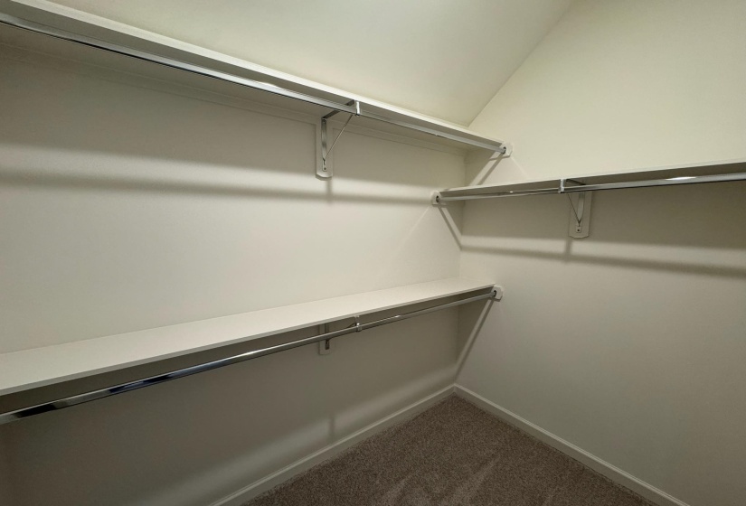Walk in closet with dark carpet