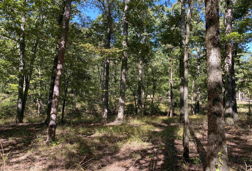1 LAKEWAY LN, Savannah, Tennessee 38372, 0 , 0 ,0,Land,For Sale,LAKEWAY,0,10207145