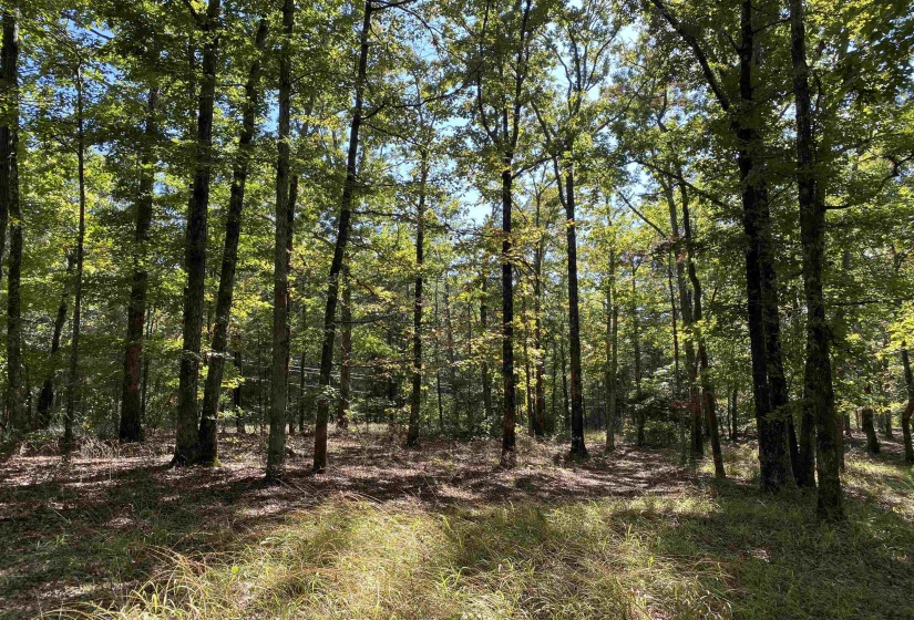 1 LAKEWAY LN, Savannah, Tennessee 38372, 0 , 0 ,0,Land,For Sale,LAKEWAY,0,10207145