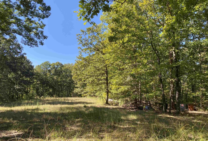 1 LAKEWAY LN, Savannah, Tennessee 38372, 0 , 0 ,0,Land,For Sale,LAKEWAY,0,10207145