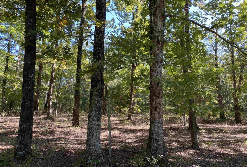 1 LAKEWAY LN, Savannah, Tennessee 38372, 0 , 0 ,0,Land,For Sale,LAKEWAY,0,10207145