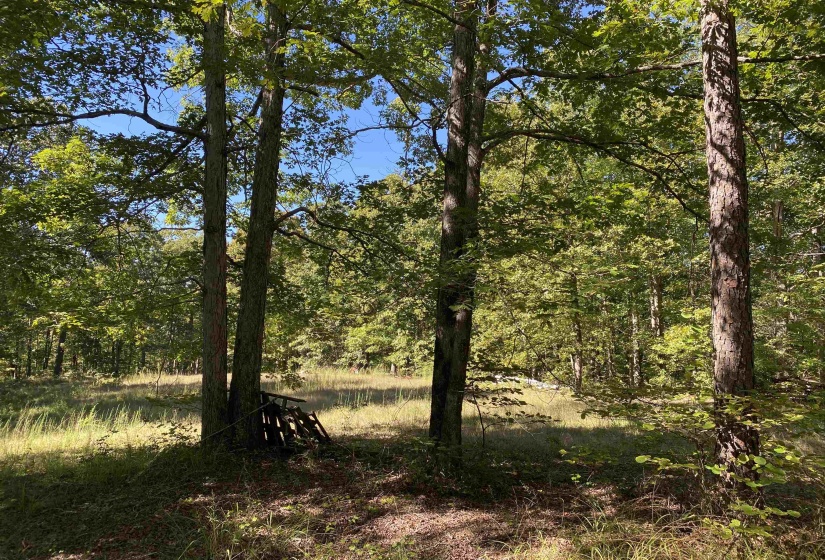 1 LAKEWAY LN, Savannah, Tennessee 38372, 0 , 0 ,0,Land,For Sale,LAKEWAY,0,10207145