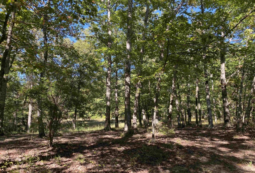 1 LAKEWAY LN, Savannah, Tennessee 38372, 0 , 0 ,0,Land,For Sale,LAKEWAY,0,10207145