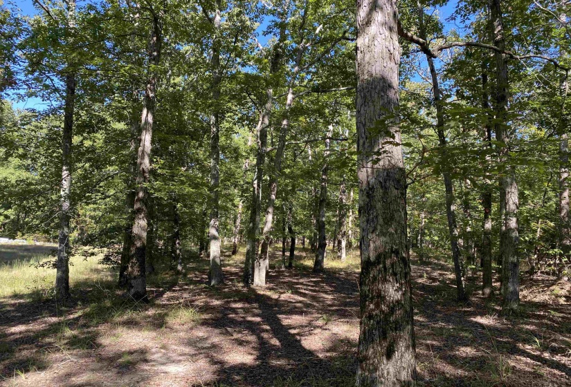 1 LAKEWAY LN, Savannah, Tennessee 38372, 0 , 0 ,0,Land,For Sale,LAKEWAY,0,10207145