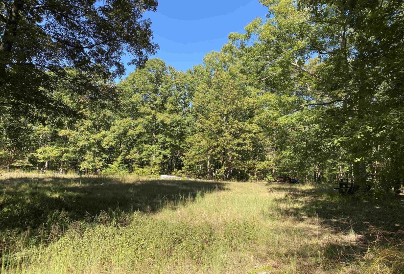 1 LAKEWAY LN, Savannah, Tennessee 38372, 0 , 0 ,0,Land,For Sale,LAKEWAY,0,10207145