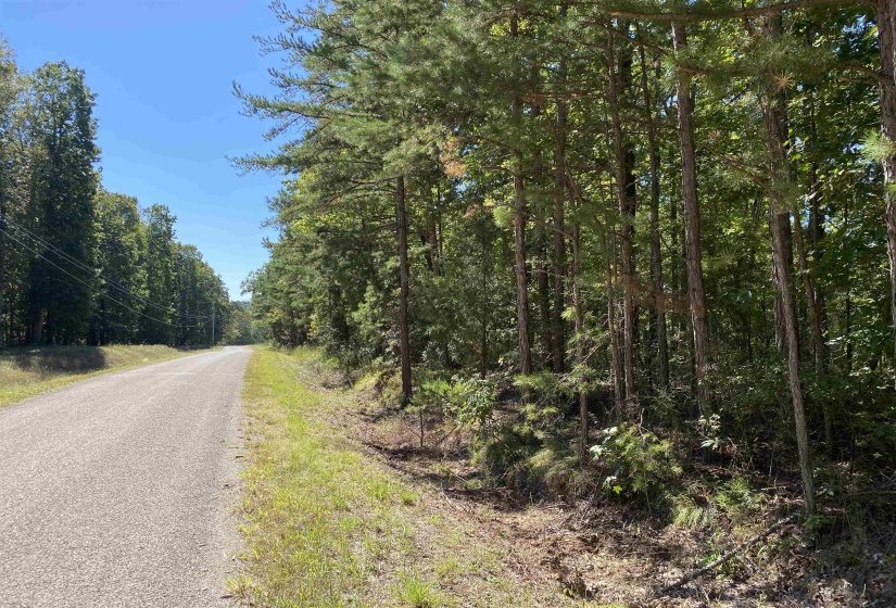1 LAKEWAY LN, Savannah, Tennessee 38372, 0 , 0 ,0,Land,For Sale,LAKEWAY,0,10207145