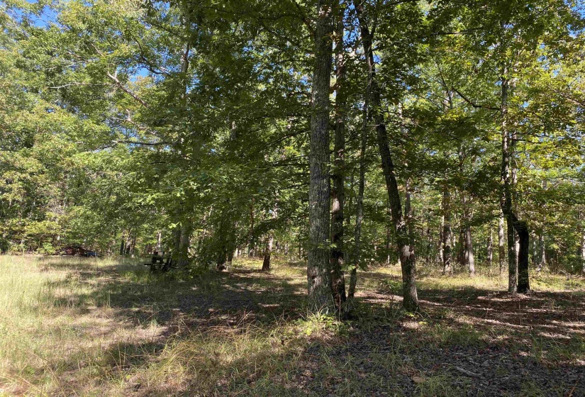 1 LAKEWAY LN, Savannah, Tennessee 38372, 0 , 0 ,0,Land,For Sale,LAKEWAY,0,10207145