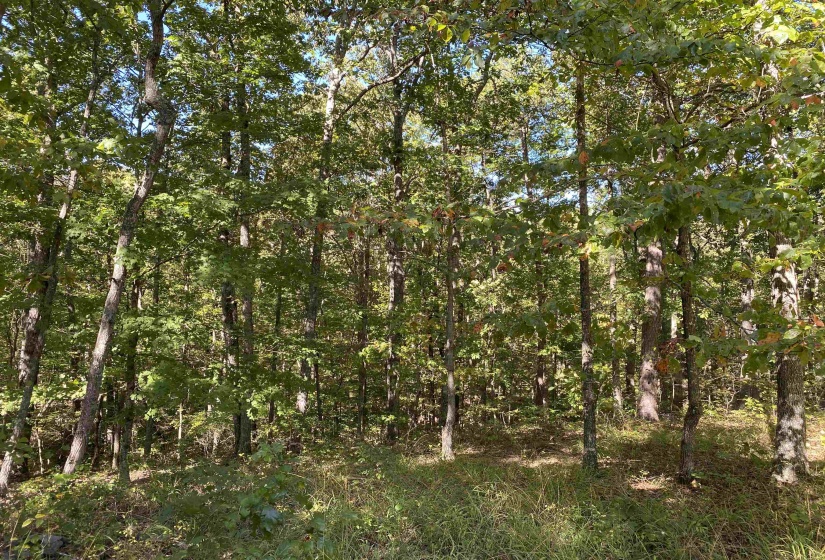 1 LAKEWAY LN, Savannah, Tennessee 38372, 0 , 0 ,0,Land,For Sale,LAKEWAY,0,10207145