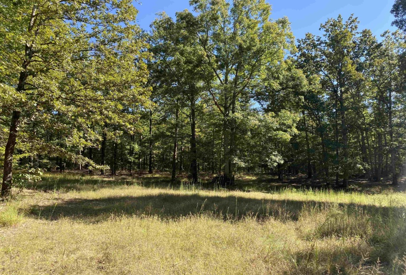 1 LAKEWAY LN, Savannah, Tennessee 38372, 0 , 0 ,0,Land,For Sale,LAKEWAY,0,10207145