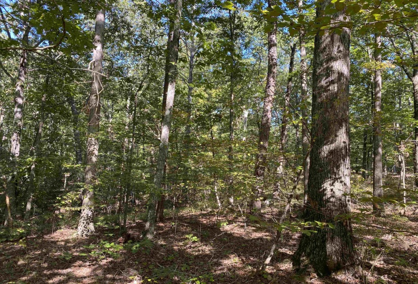 1 LAKEWAY LN, Savannah, Tennessee 38372, 0 , 0 ,0,Land,For Sale,LAKEWAY,0,10207145