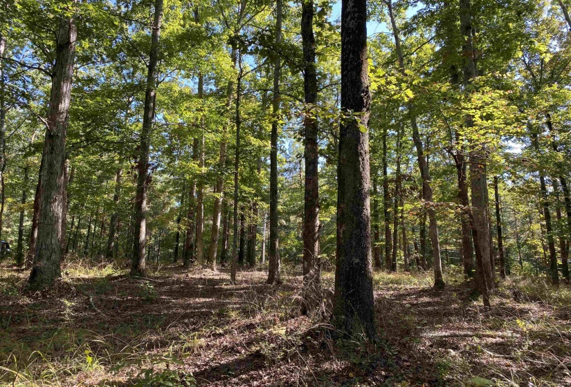 1 LAKEWAY LN, Savannah, Tennessee 38372, 0 , 0 ,0,Land,For Sale,LAKEWAY,0,10207145