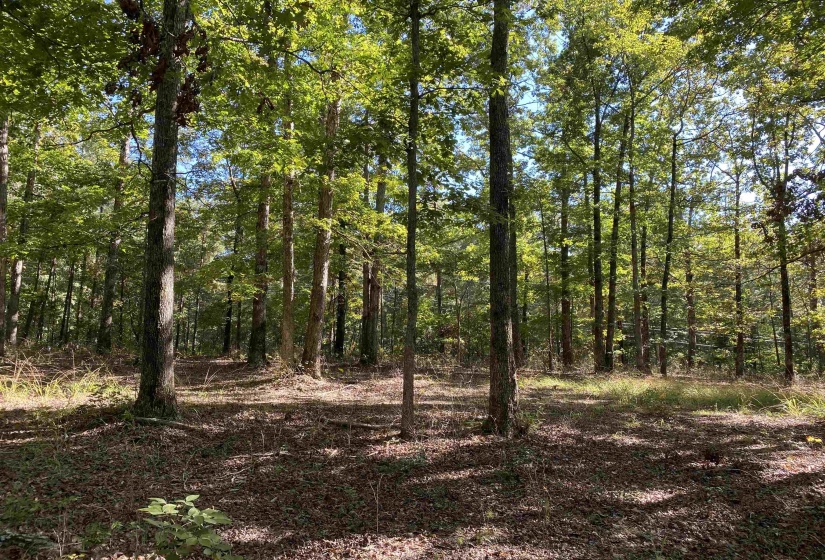 1 LAKEWAY LN, Savannah, Tennessee 38372, 0 , 0 ,0,Land,For Sale,LAKEWAY,0,10207145