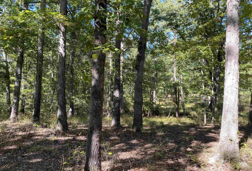 1 LAKEWAY LN, Savannah, Tennessee 38372, 0 , 0 ,0,Land,For Sale,LAKEWAY,0,10207145