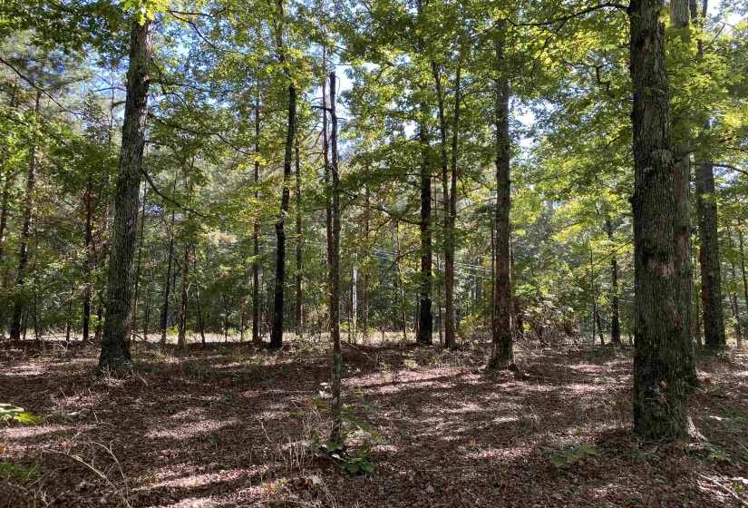 1 LAKEWAY LN, Savannah, Tennessee 38372, 0 , 0 ,0,Land,For Sale,LAKEWAY,0,10207145
