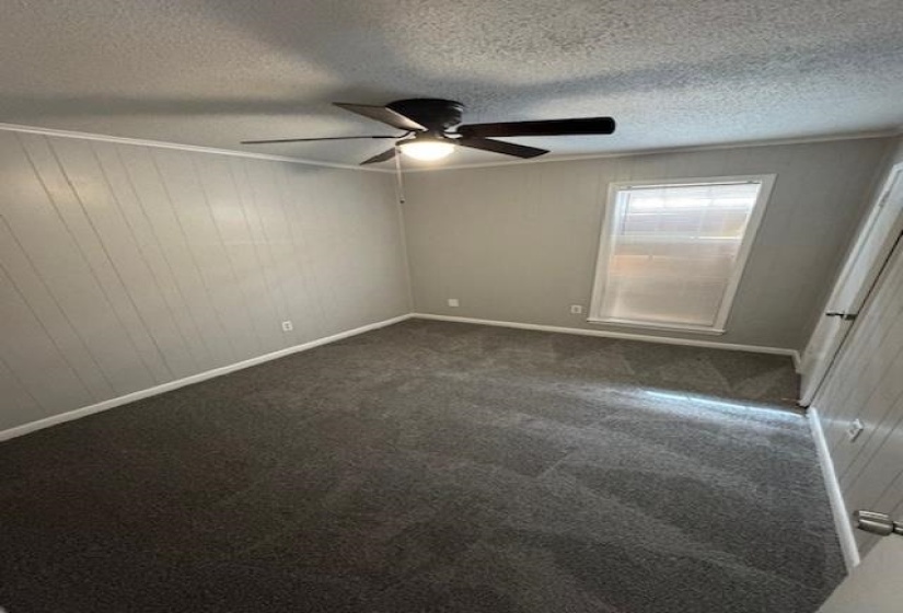 Spare room featuring a textured ceiling, dark carpet, crown molding, and wood walls