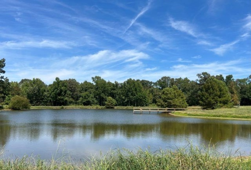 9125 HWY 196 HWY, Unincorporated, Tennessee 38017, 5 Bedroom Bedrooms, 12 Room Rooms,5.2 BathroomBathrooms,Residential,For Sale,HWY 196,0,10207260