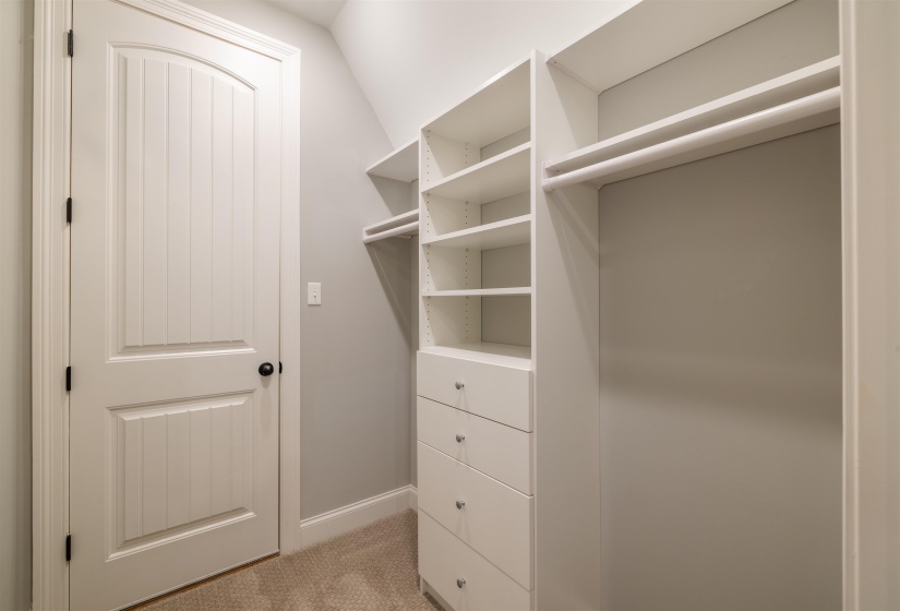 Walk in closet with light colored carpet