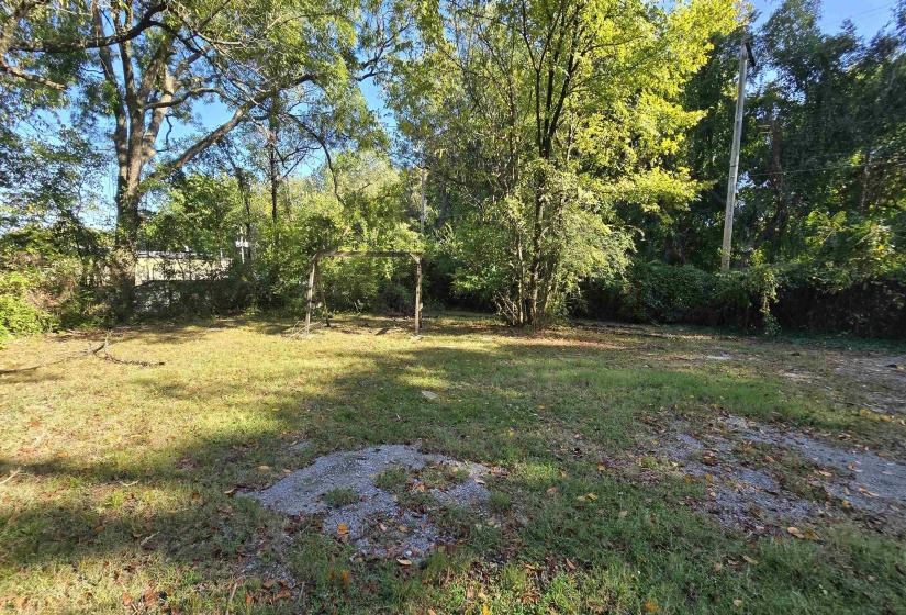 View of grassy yard