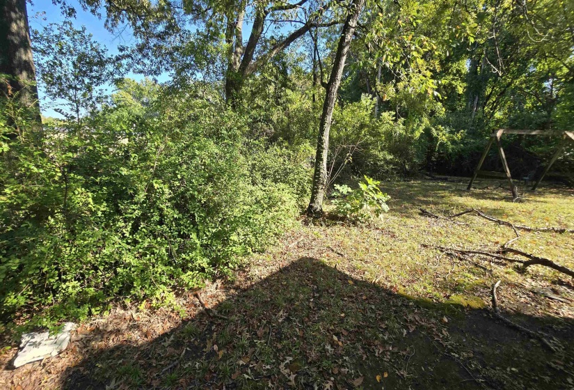View of woods
