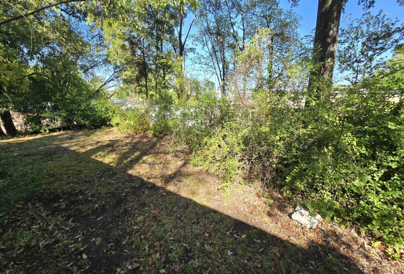 View of local wilderness