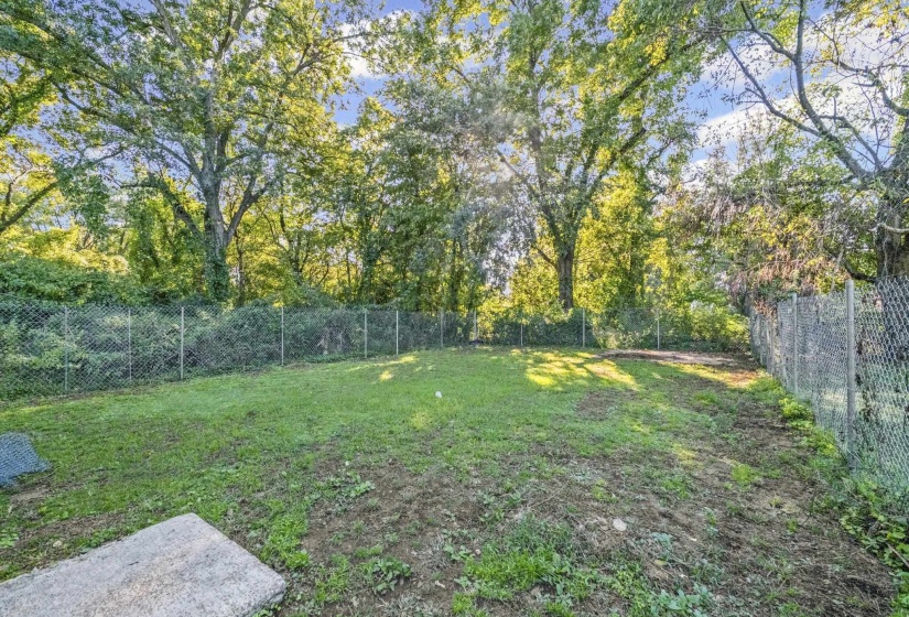 View of fenced backyard