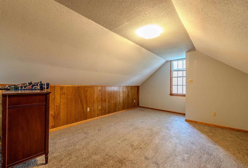 Additional living space with a textured ceiling, carpet, lofted ceiling, and baseboards