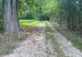 0 OSCAR LANE LN, Middleton, Tennessee 38052, ,Land,For Sale,OSCAR LANE,10207771 0 OSCAR LANE LN, Middleton, Tennessee 38052, ,Land,For Sale,OSCAR LANE,10207771