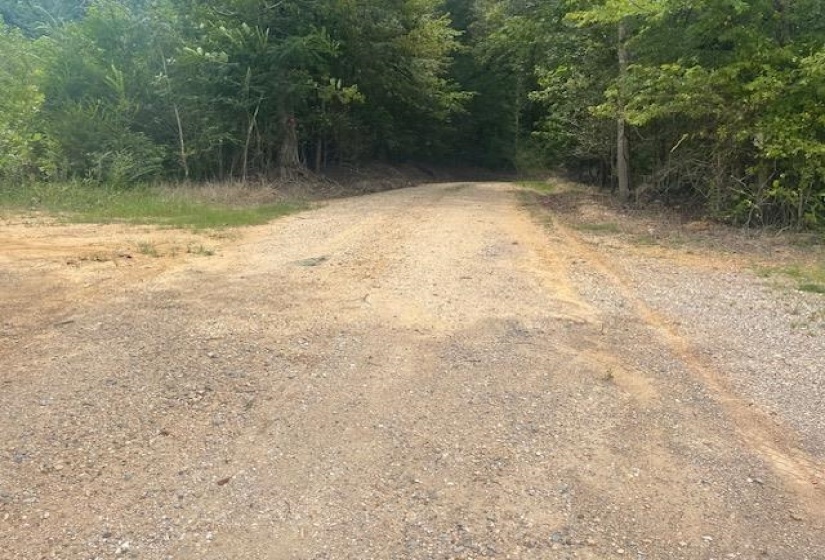 0 OSCAR LANE LN, Middleton, Tennessee 38052, ,Land,For Sale,OSCAR LANE,10207771