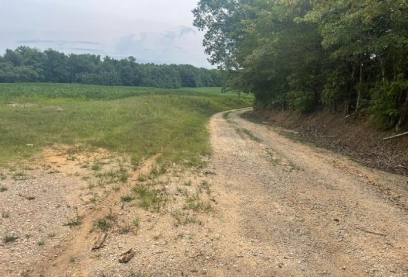 0 OSCAR LANE LN, Middleton, Tennessee 38052, ,Land,For Sale,OSCAR LANE,10207771