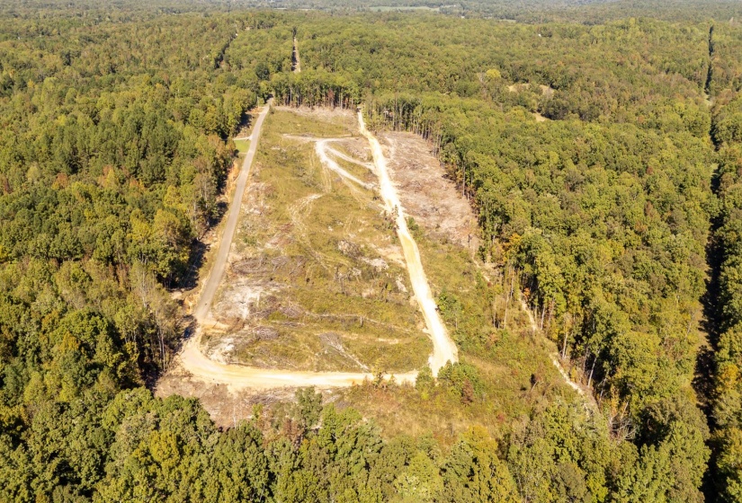 Drone / aerial view of a heavily wooded area