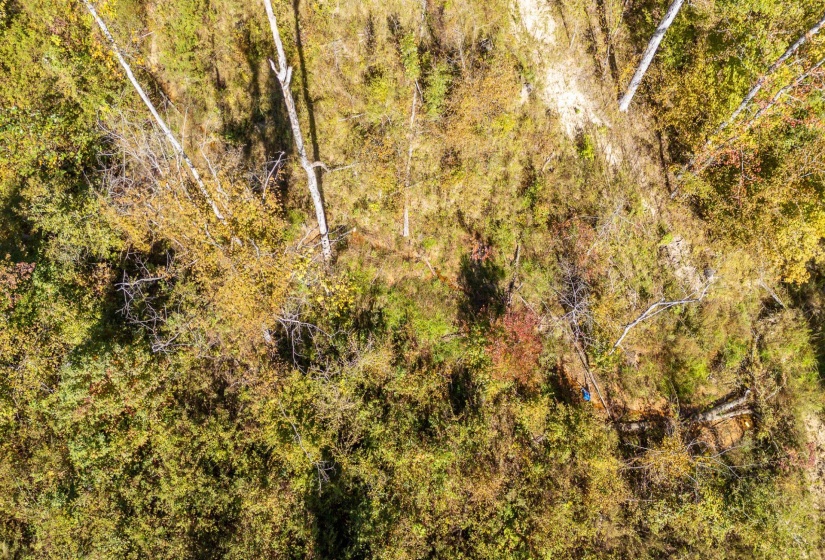 00 GREENLEAF LOOP, Savannah, Tennessee 38372, ,Land,For Sale,GREENLEAF,10207782