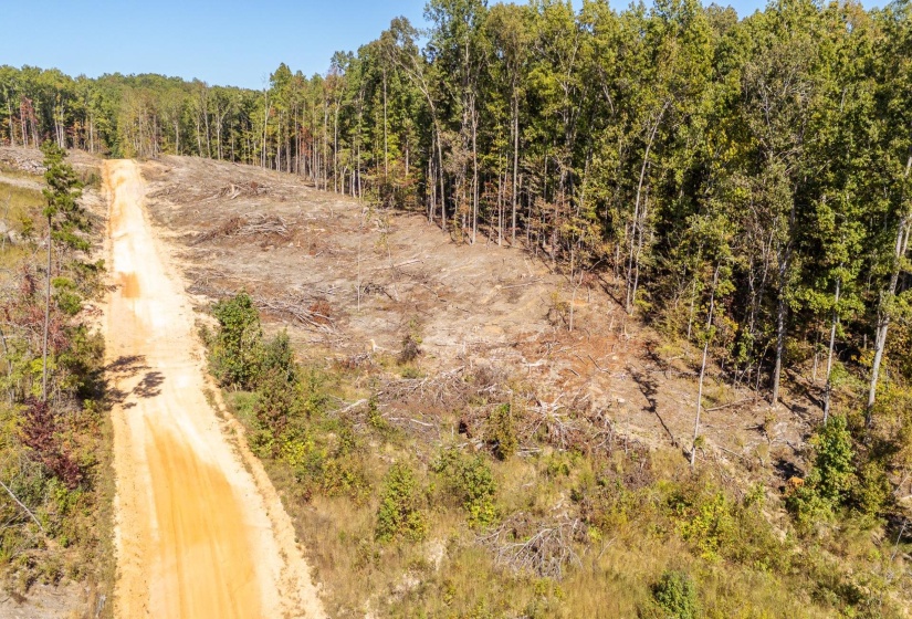 00 GREENLEAF LOOP, Savannah, Tennessee 38372, ,Land,For Sale,GREENLEAF,10207782