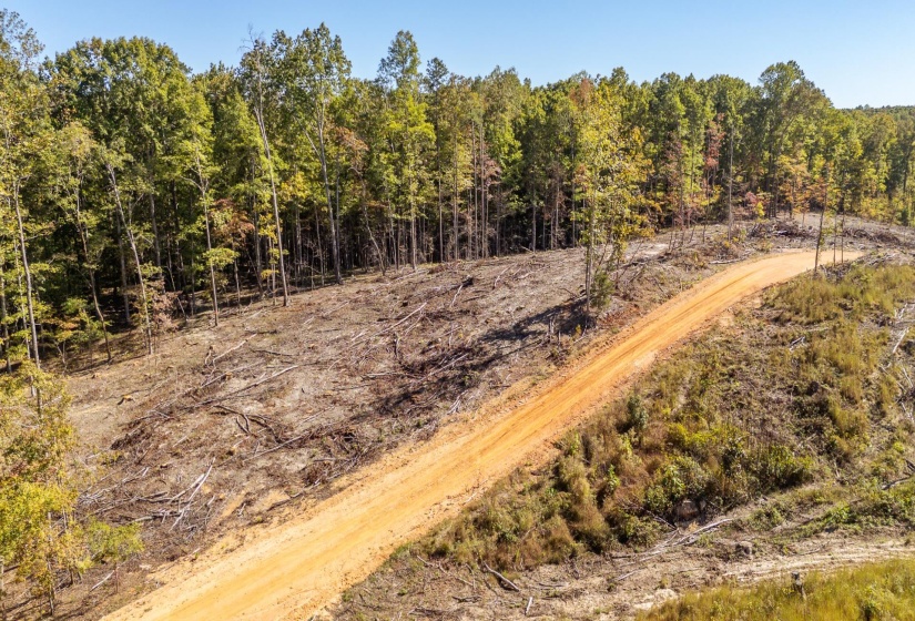 00 GREENLEAF LOOP, Savannah, Tennessee 38372, ,Land,For Sale,GREENLEAF,10207782