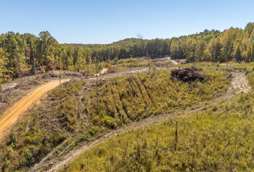 00 GREENLEAF LOOP, Savannah, Tennessee 38372, ,Land,For Sale,GREENLEAF,10207782