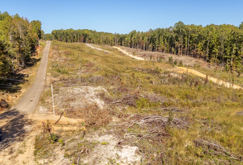 00 GREENLEAF LOOP, Savannah, Tennessee 38372, ,Land,For Sale,GREENLEAF,10207782