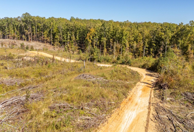 00 GREENLEAF LOOP, Savannah, Tennessee 38372, ,Land,For Sale,GREENLEAF,10207782