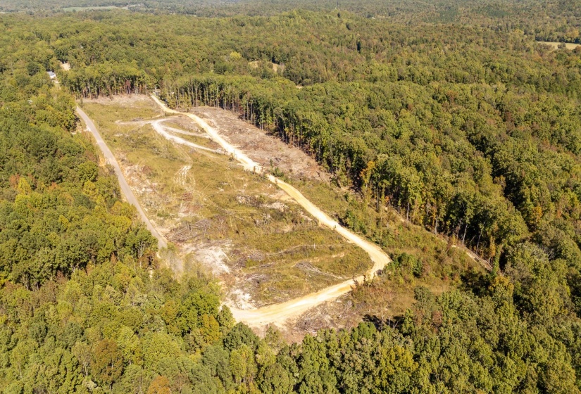 00 GREENLEAF LOOP, Savannah, Tennessee 38372, ,Land,For Sale,GREENLEAF,10207782