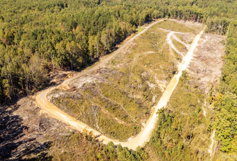 00 GREENLEAF LOOP, Savannah, Tennessee 38372, ,Land,For Sale,GREENLEAF,10207782