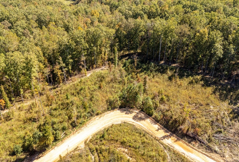 00 GREENLEAF LOOP, Savannah, Tennessee 38372, ,Land,For Sale,GREENLEAF,10207782