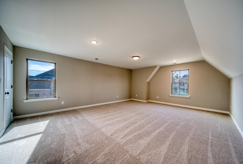 Additional living space featuring light colored carpet and vaulted ceiling