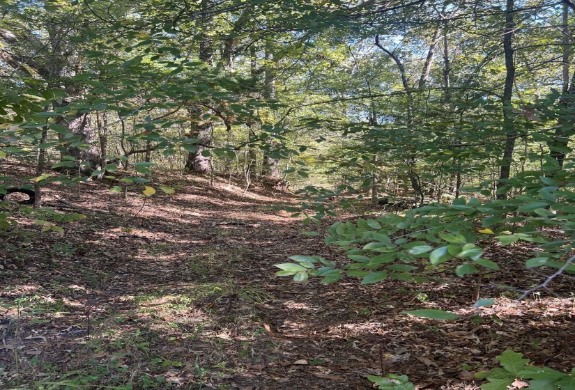 0 WALLS RD, Somerville, Tennessee 38068, ,Land,For Sale,WALLS,10207816