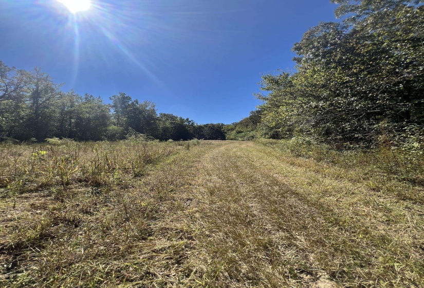 0 WALLS RD, Somerville, Tennessee 38068, ,Land,For Sale,WALLS,10207816