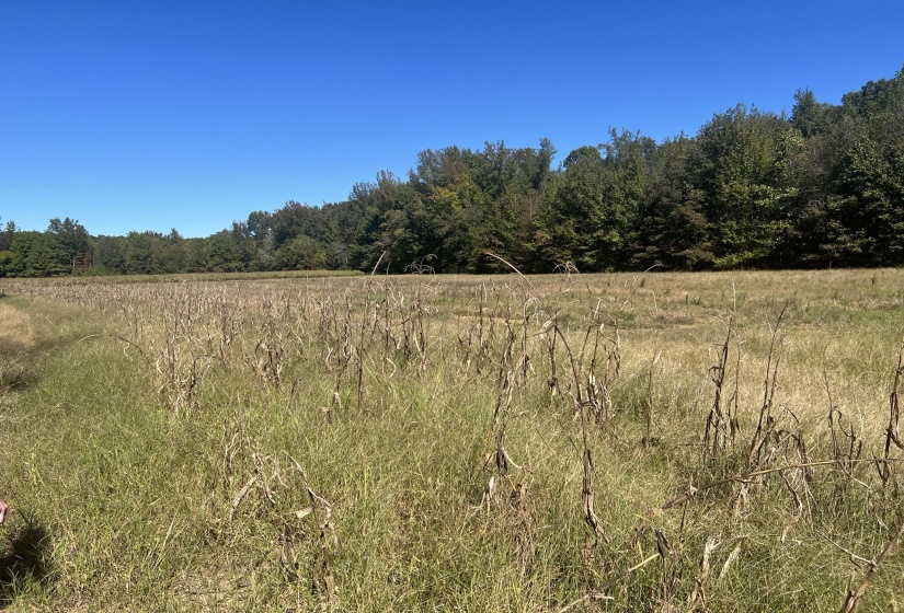 0 WALLS RD, Somerville, Tennessee 38068, ,Land,For Sale,WALLS,10207816