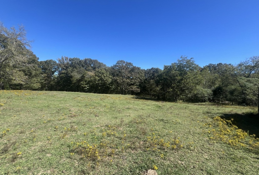 0 WALLS RD, Somerville, Tennessee 38068, ,Land,For Sale,WALLS,10207816