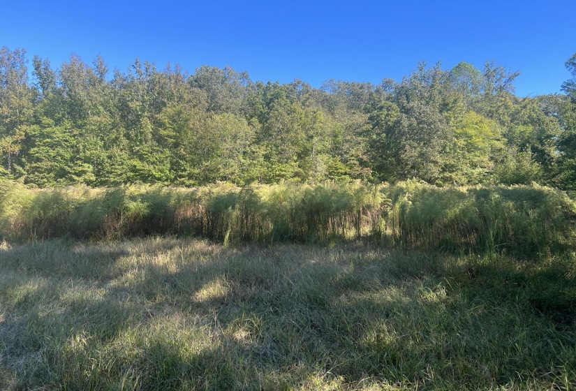 0 WALLS RD, Somerville, Tennessee 38068, ,Land,For Sale,WALLS,10207816