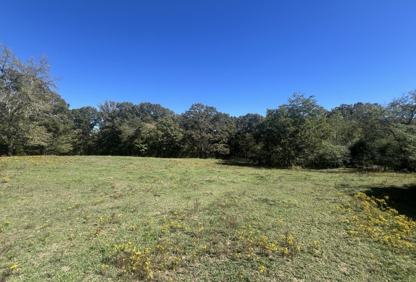 0 WALLS RD, Somerville, Tennessee 38068, ,Land,For Sale,WALLS,10207816