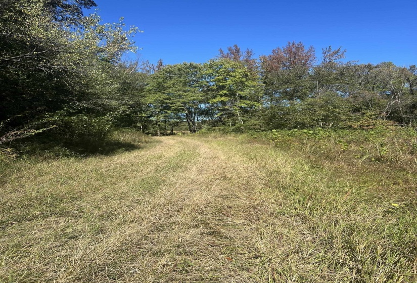 0 WALLS RD, Somerville, Tennessee 38068, ,Land,For Sale,WALLS,10207816