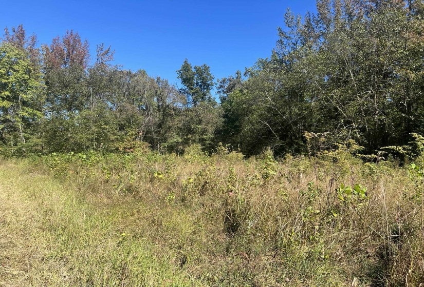 0 WALLS RD, Somerville, Tennessee 38068, ,Land,For Sale,WALLS,10207816